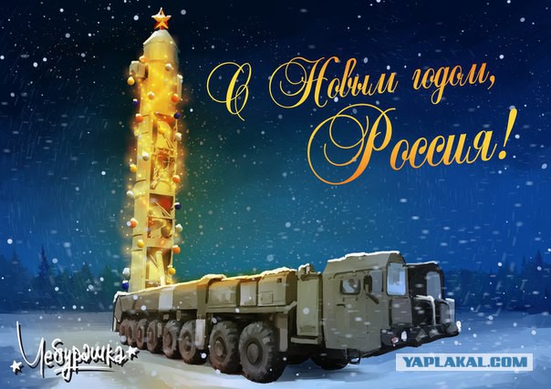 Арестовали за фотографии новогодних ёлок
