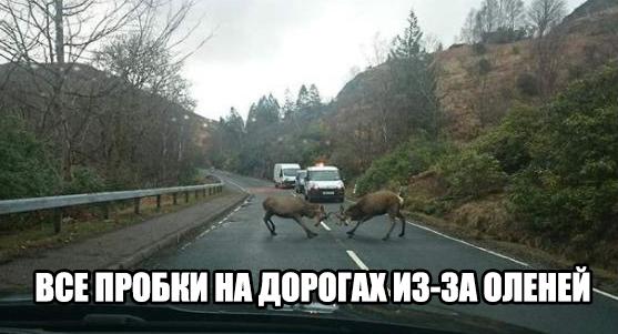 Подборка прикольных картинок