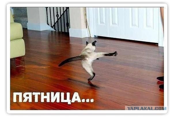 Картинки на пятницу