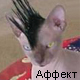 КПМ-ИНФОРМ: ВИРУС