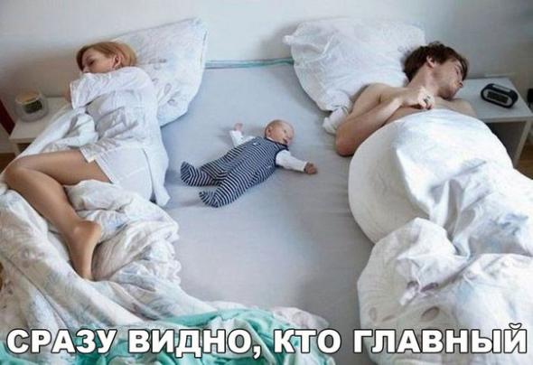 Забавные картинки из Сети