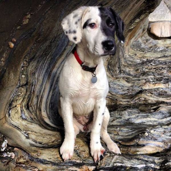 Веселые и интересные картинки