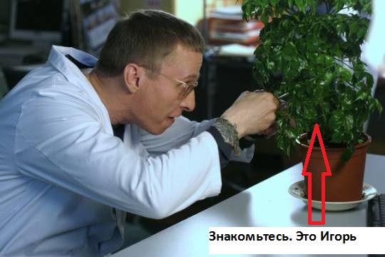 Замкнутая эко-система