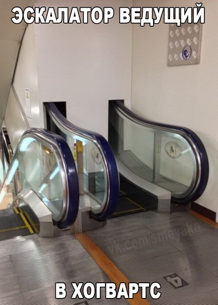 Интересные и веселые картинки