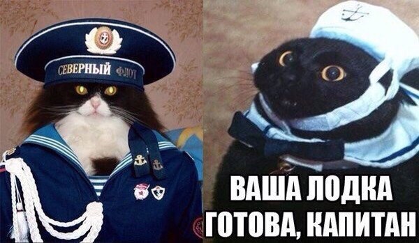 Подборка интересных и смешных картинок