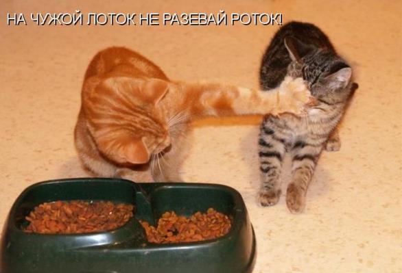 Картинки на понедельник