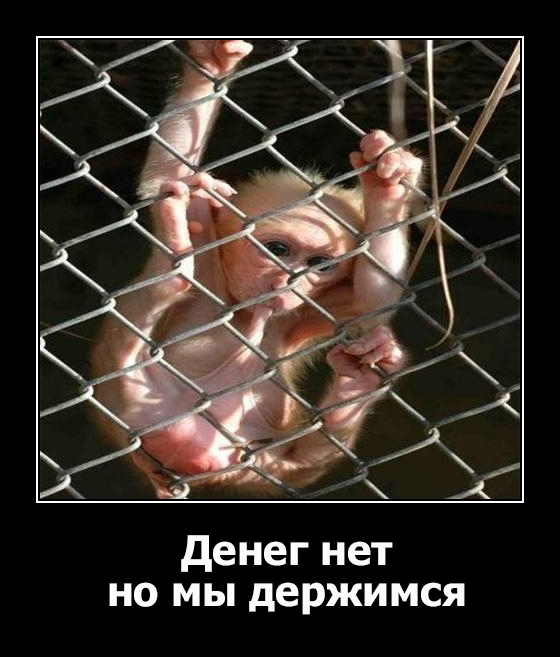 Что будет, если двум обезьянам несправедливо заплатить за работу?