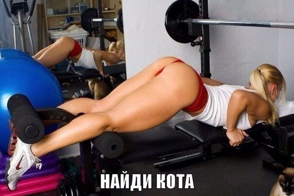 Абсурдный юмор ч.26