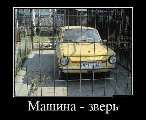 Подборка интересных и смешных картинок