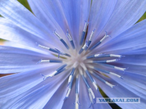 Настоящим мужчинам посвящается