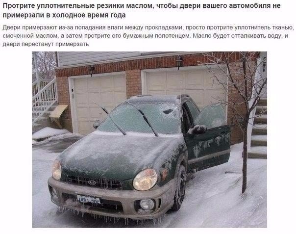 Порция картинок