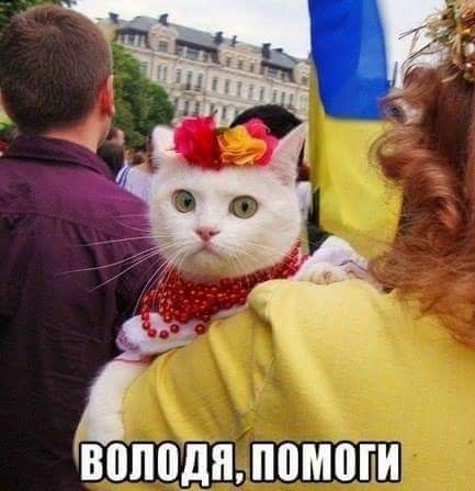 Асоциальных и не только картинок пост