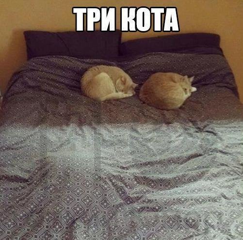 Приколы в стиле "регресс"