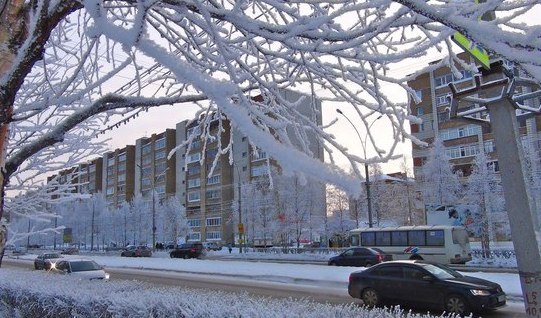 Просто снег, который выпал зимой не в Москве