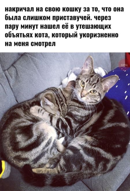 Нестандартный юмор