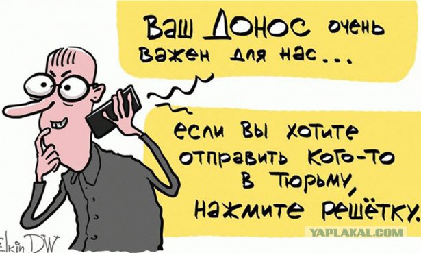 Две студентки из Барнаула, по чьим доносам завели несколько уголовных за картинки «Вконтакте», попросили госзащиту