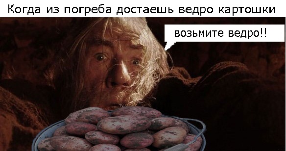 Нестандартный юмор