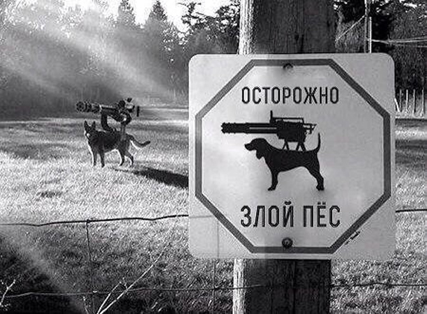 Странные картинки