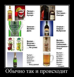 10 алкогольных соблазнов, которые гарантированно обернутся позором