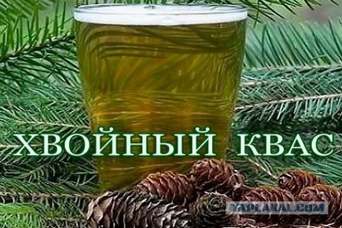 Названы недостатки популярных брендов кваса