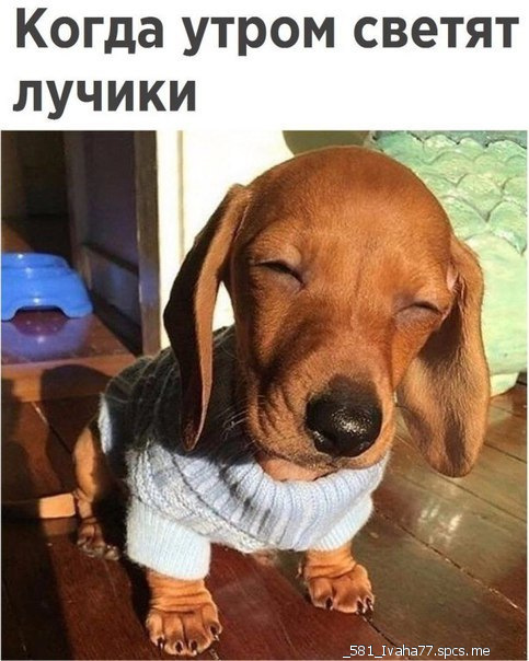 Подборка интересных и веселых картинок 18.08.19