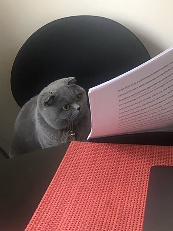 Котофеев пост