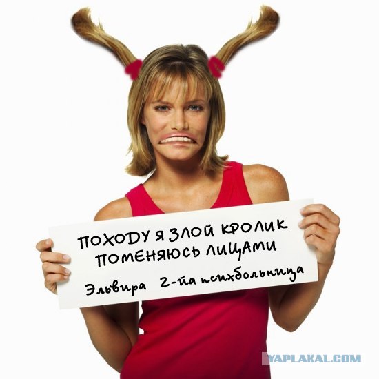 Фотожаба: Таблички возвращаются