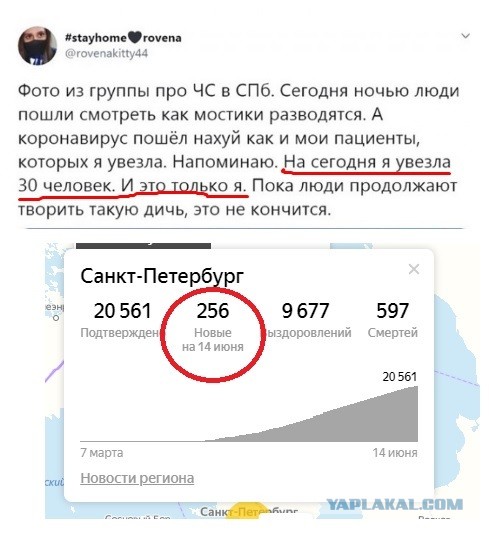 Массовый просмотр развода мостов в Спб, несмотря на вирус