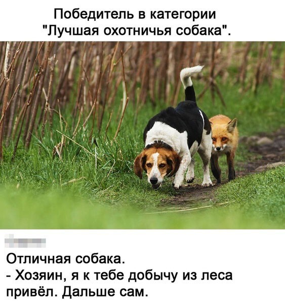 Немного картинок для настроения 28.10.20