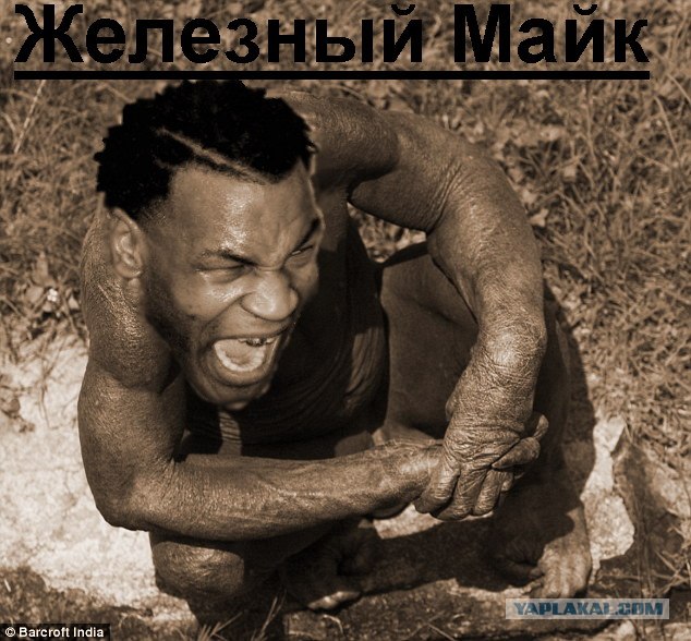 Фотожаба: Всю жизнь за решеткой