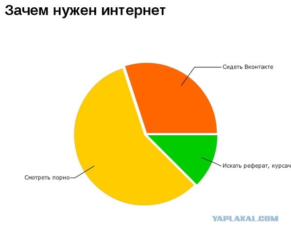 В Госдуме считают, что России не нужен интернет от Илона Маска