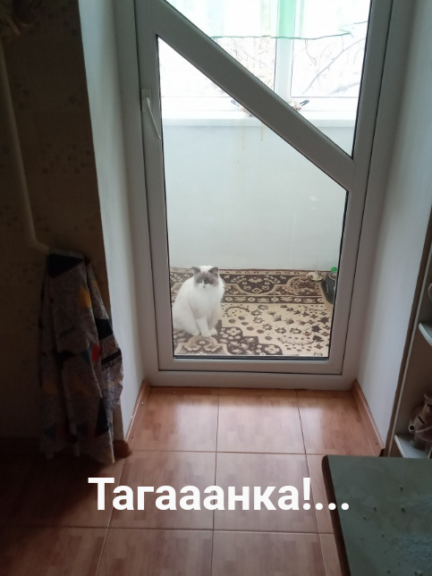 Арестован Василий