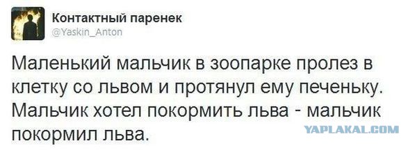 Картинки и буквы 04.12.20