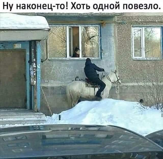 Картинки и мемы для настроения 017
