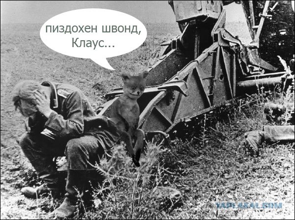 Таксидермия + наркомания