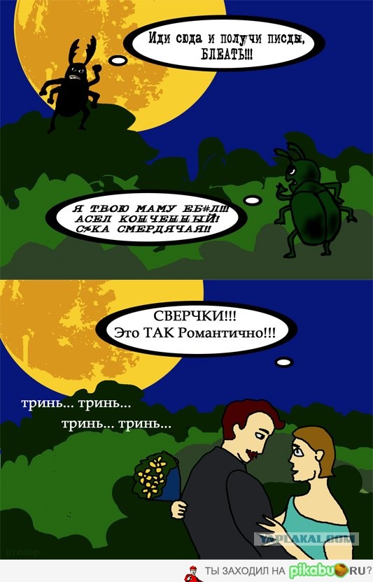 Термиты и муравьи: вооруженный нейтралитет