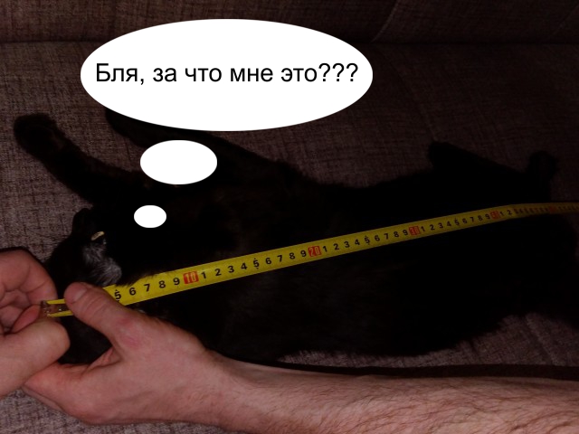 Алименты должно платить государство