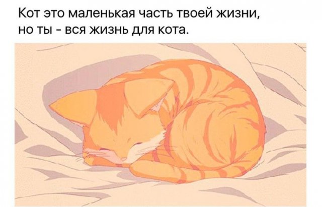 Картинки и мемы для настроения 020