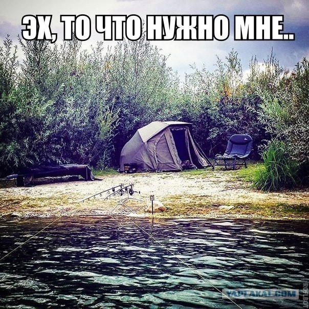 Так себе картинки 07.06.21