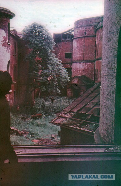 Форт «Император Александр I» (чумной) в Финском заливе