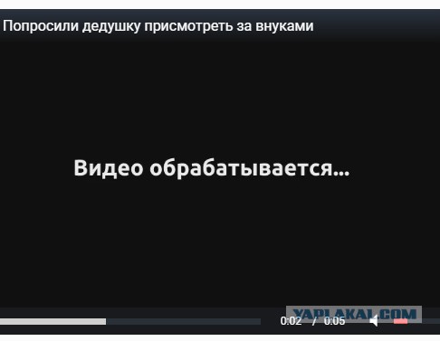 Попросили дедушку присмотреть за внуками