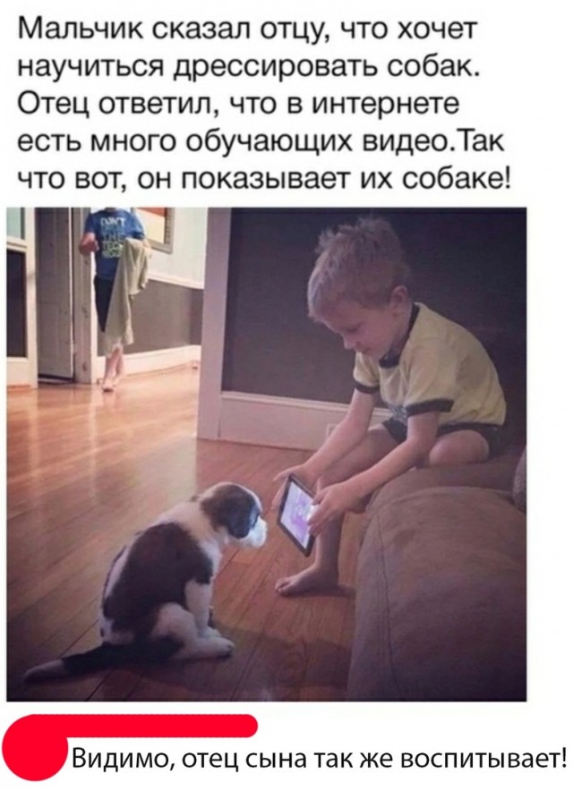 Так себе картинки 03.03.22