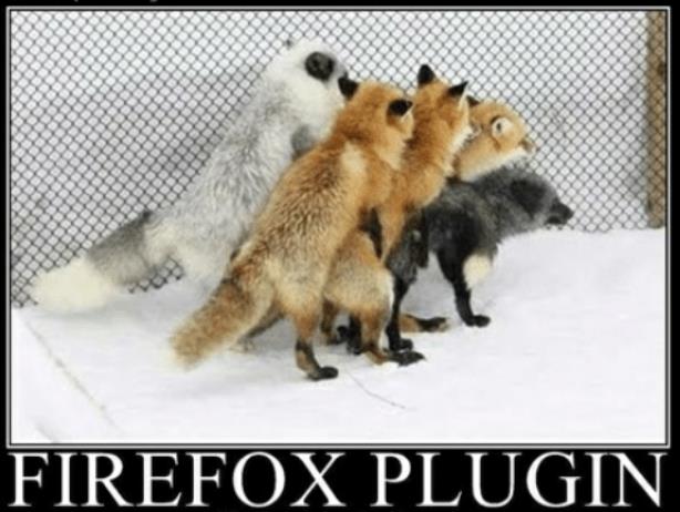 Поисковик «Яндекса» пропал из настроек браузера Mozilla Firefox