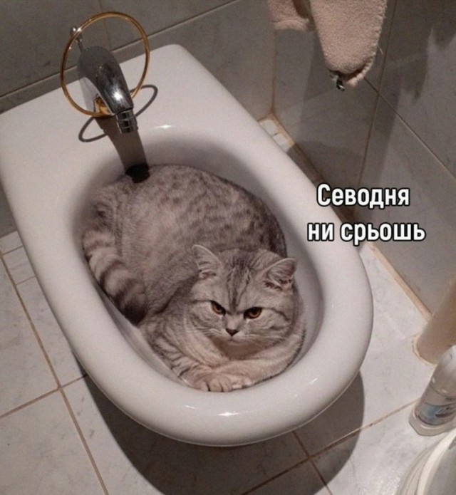 Все, что нужно, для успешной Деградации человека