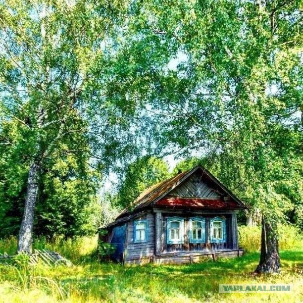 Вот моя деревня-2