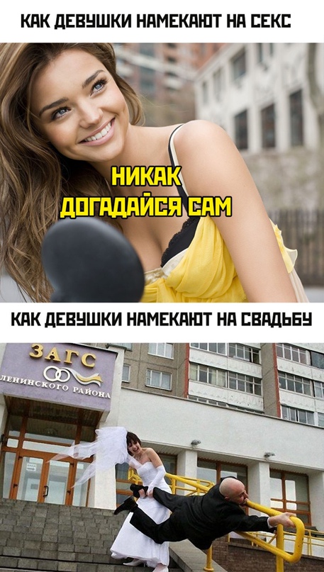 Весёлый полтишок 08.07.22