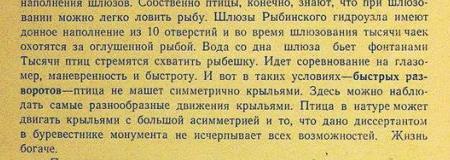 Рыбинск. Монумент "Волга"
