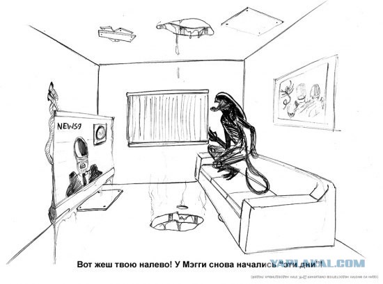 Челябинцам на заметку