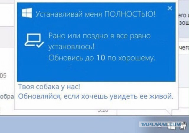 Картинки и мемы, всем хороших выходных