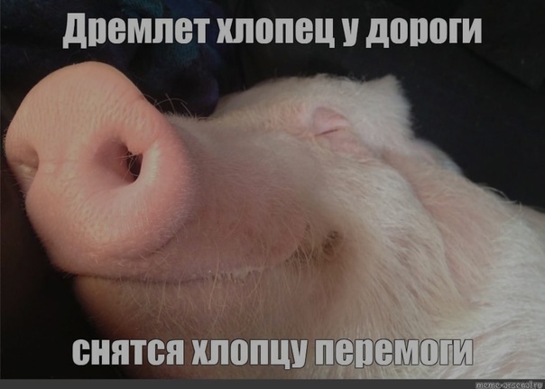 Неужели его опять выберут?